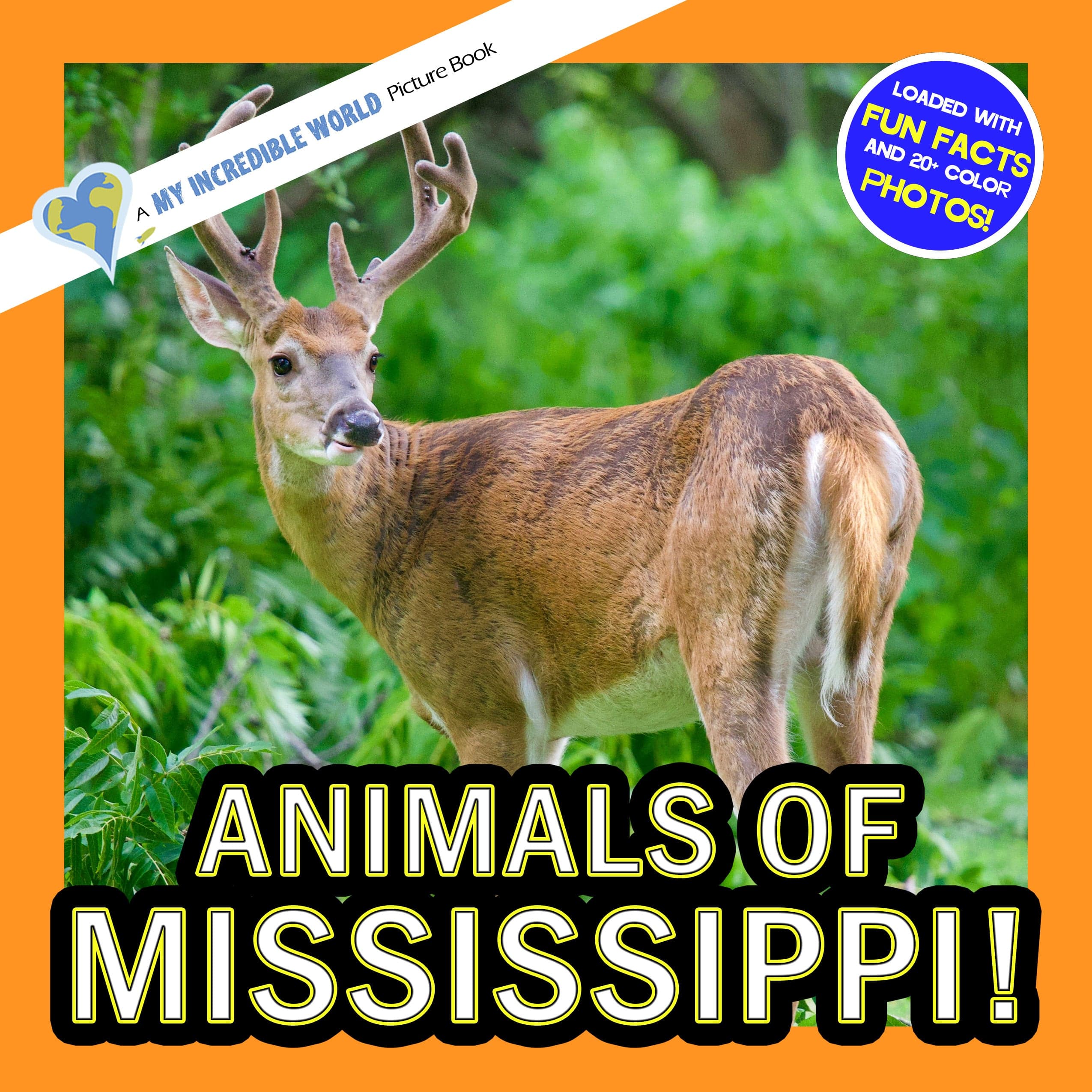 Animals of Mississippi! A My Incredible World Picture Book for Children